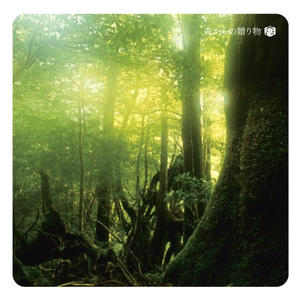 日本精品在线视频
